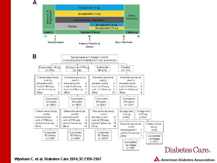 Wysham C. et al. Diabetes Care 2014; 37: 2159 -2167 Wysham C. et al. Diabetes Care 2014; 37: 2159 -2167