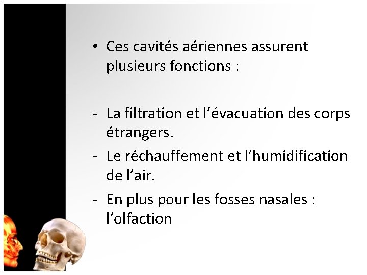  • Ces cavités aériennes assurent plusieurs fonctions : - La filtration et l’évacuation