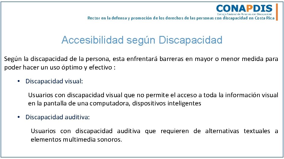 Rector en la defensa y promoción de los derechos de las personas con discapacidad
