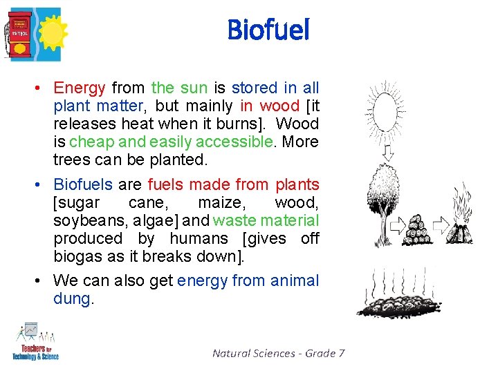 Biofuel • Energy from the sun is stored in all plant matter, but mainly