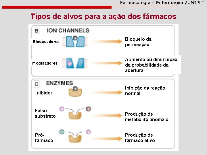 Farmacologia – Enfermagem/UNIPLI Tipos de alvos para a ação dos fármacos Bloqueadores Bloqueio da