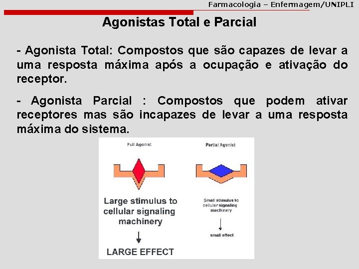 Farmacologia – Enfermagem/UNIPLI Agonistas Total e Parcial - Agonista Total: Compostos que são capazes