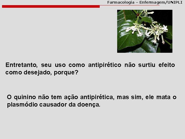 Farmacologia – Enfermagem/UNIPLI Entretanto, seu uso como antipirético não surtiu efeito como desejado, porque?