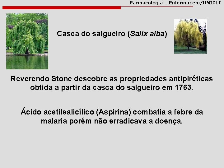 Farmacologia – Enfermagem/UNIPLI Casca do salgueiro (Salix alba) Reverendo Stone descobre as propriedades antipiréticas