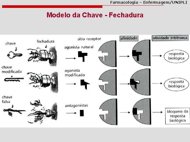 Farmacologia – Enfermagem/UNIPLI Modelo da Chave - Fechadura Farmacologia – Enfermagem/UNIPLI Modelo da Chave - Fechadura