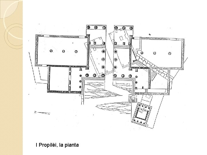 I Propilèi, la pianta 