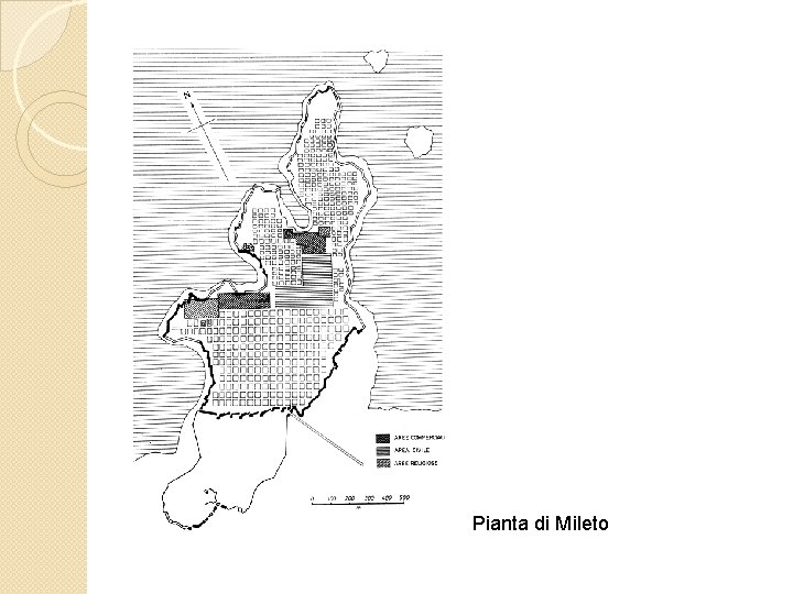 Pianta di Mileto 
