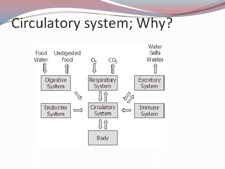 Circulatory system; Why? 