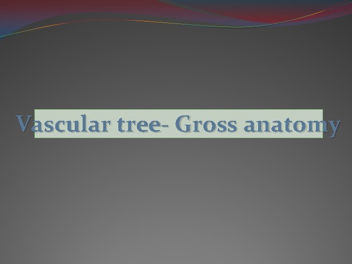 Vascular tree- Gross anatomy 