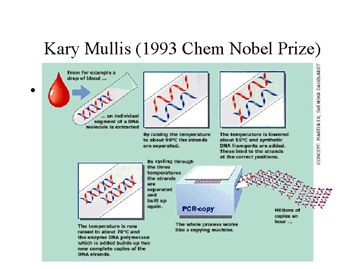 Kary Mullis (1993 Chem Nobel Prize) • PCR! 