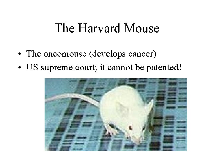 The Harvard Mouse • The oncomouse (develops cancer) • US supreme court; it cannot