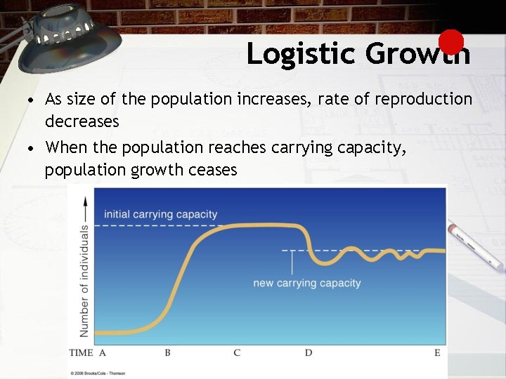 Logistic Growth • As size of the population increases, rate of reproduction decreases •