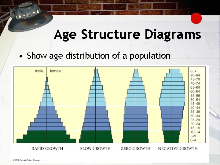 Age Structure Diagrams • Show age distribution of a population 