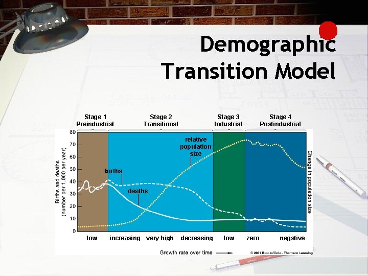 Demographic Transition Model Stage 1 Preindustrial Stage 2 Transitional Stage 3 Industrial Stage 4