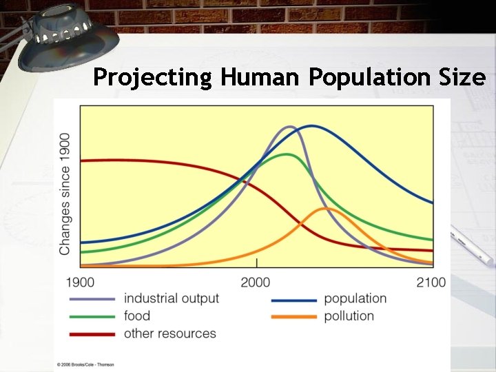 Projecting Human Population Size 