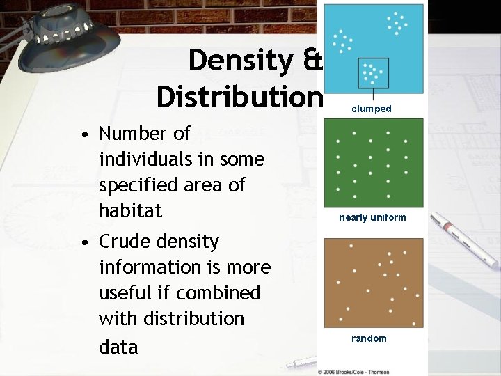 Density & Distribution • Number of individuals in some specified area of habitat •