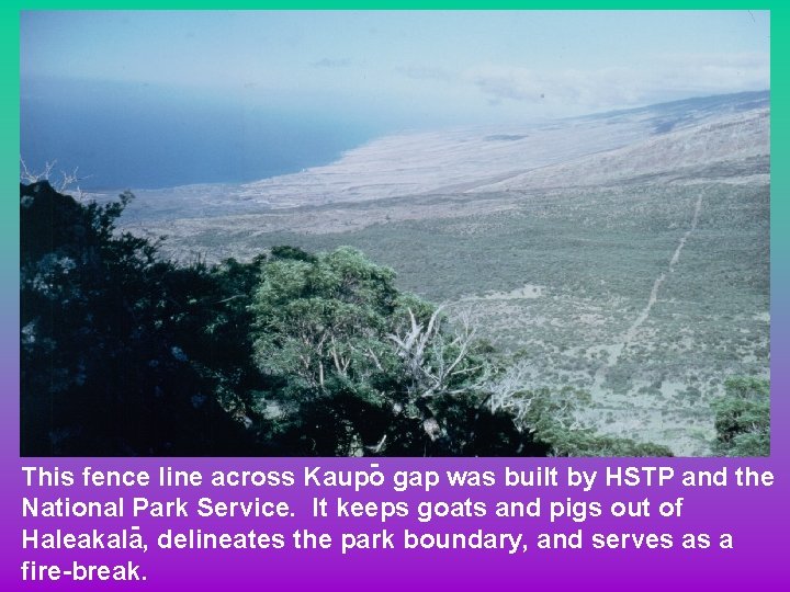 - gap was built by HSTP and the This fence line across Kaupo National