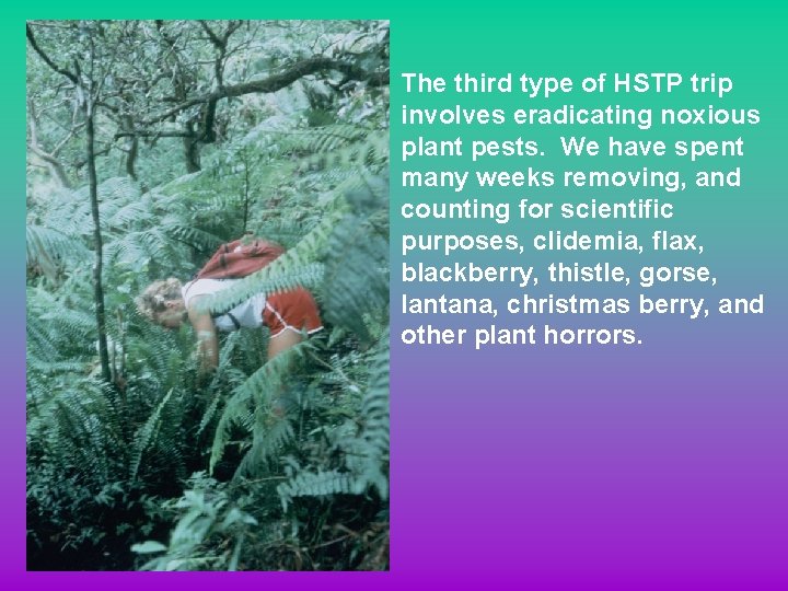 The third type of HSTP trip involves eradicating noxious plant pests. We have spent