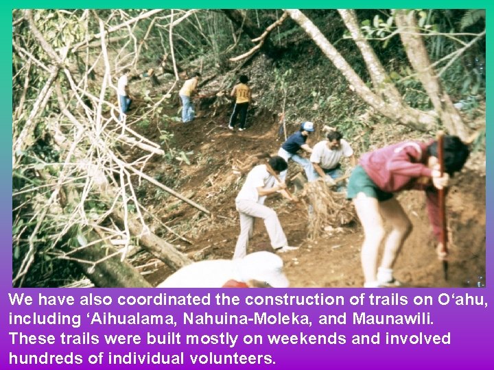 We have also coordinated the construction of trails on O‘ahu, including ‘Aihualama, Nahuina-Moleka, and
