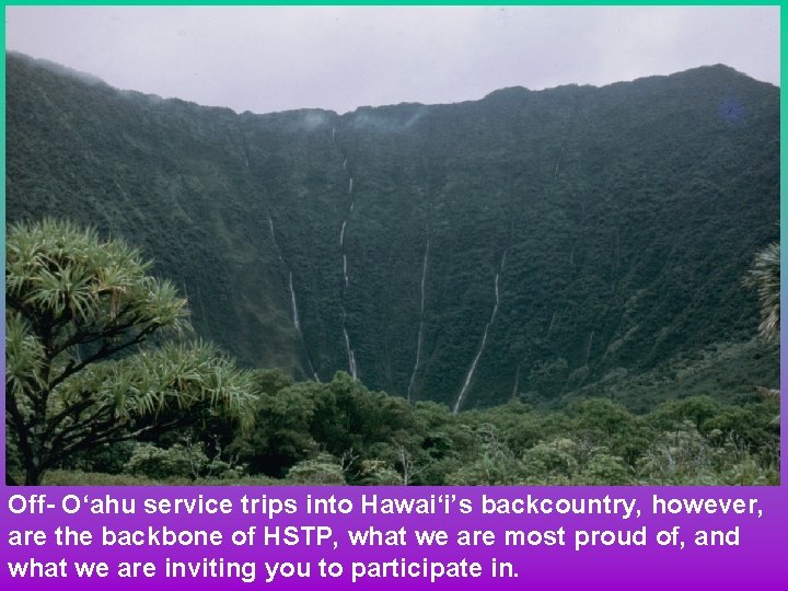 Off- O‘ahu service trips into Hawai‘i’s backcountry, however, are the backbone of HSTP, what