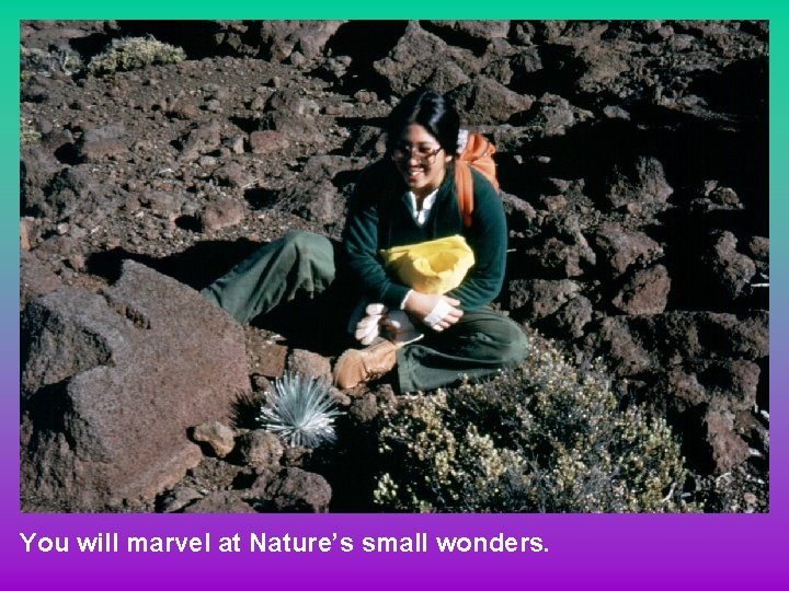 You will marvel at Nature’s small wonders. 