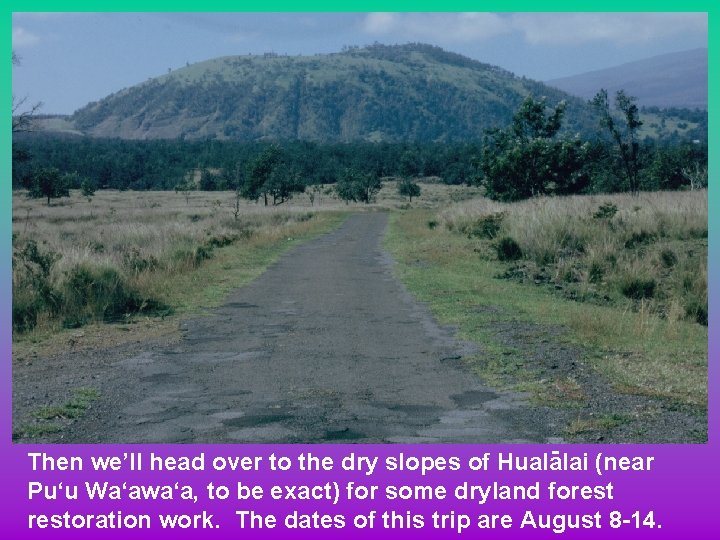 Then we’ll head over to the dry slopes of Hualalai (near Pu‘u Wa‘awa‘a, to