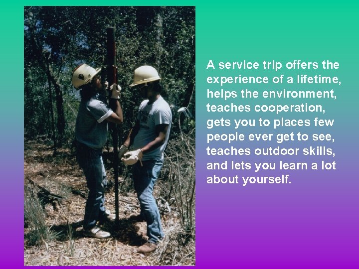 A service trip offers the experience of a lifetime, helps the environment, teaches cooperation,