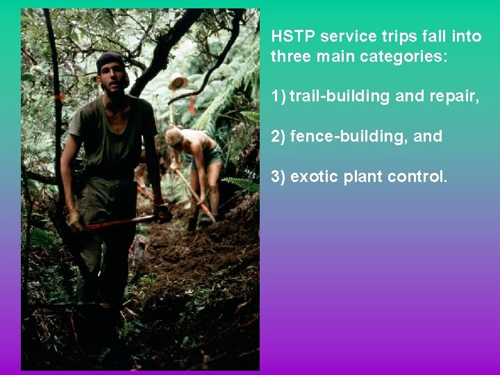 HSTP service trips fall into three main categories: 1) trail-building and repair, 2) fence-building,