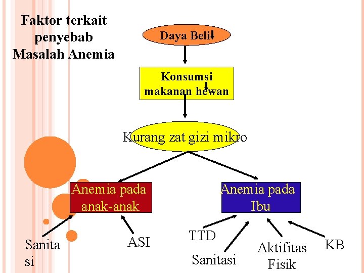 Faktor terkait penyebab Masalah Anemia Daya Beli Konsumsi makanan hewan Kurang zat gizi mikro