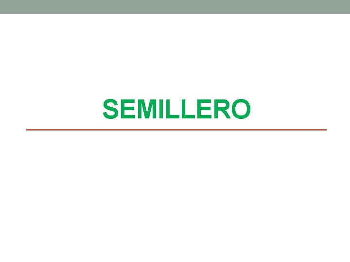 SEMILLERO 