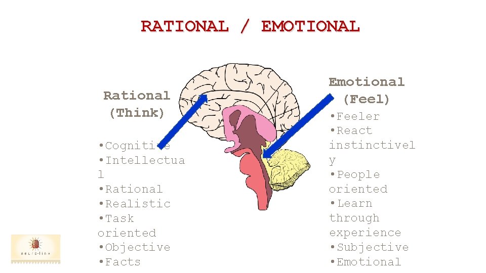 RATIONAL / EMOTIONAL Rational (Think) • Cognitive • Intellectua l • Rational • Realistic