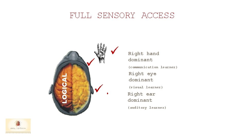 FULL SENSORY ACCESS Right hand dominant LOGICAL (communication learner) Right eye dominant ü. (visual
