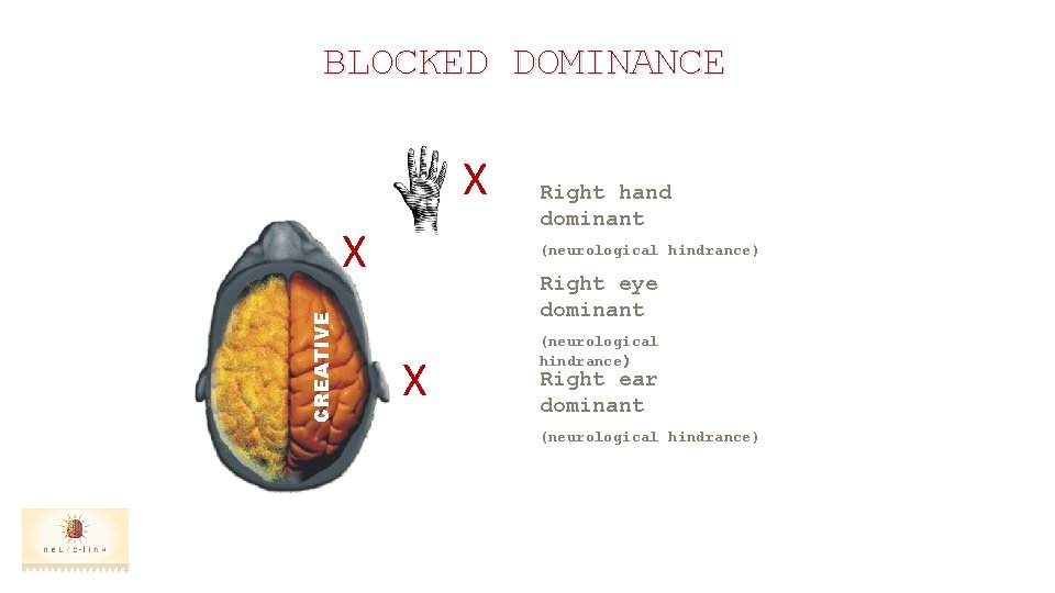 BLOCKED DOMINANCE X CREATIVE X Right hand dominant (neurological hindrance) Right eye dominant X