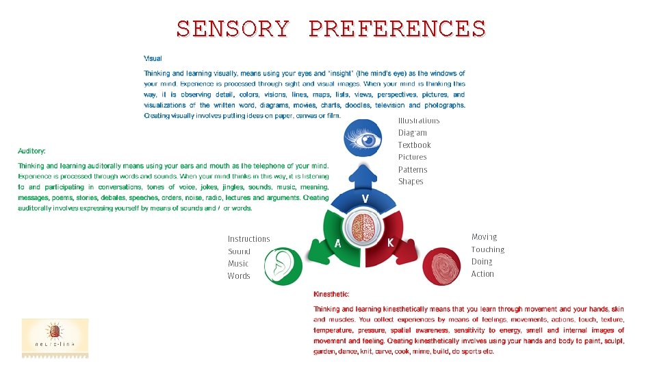 SENSORY PREFERENCES 