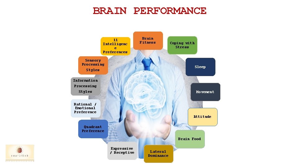 BRAIN PERFORMANCE 11 Intelligenc e Preferences Brain Fitness Sensory Processing Coping with Stress Sleep