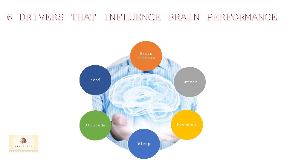 6 DRIVERS THAT INFLUENCE BRAIN PERFORMANCE Brain Fitness Food Stress Movement Attitude Sleep 