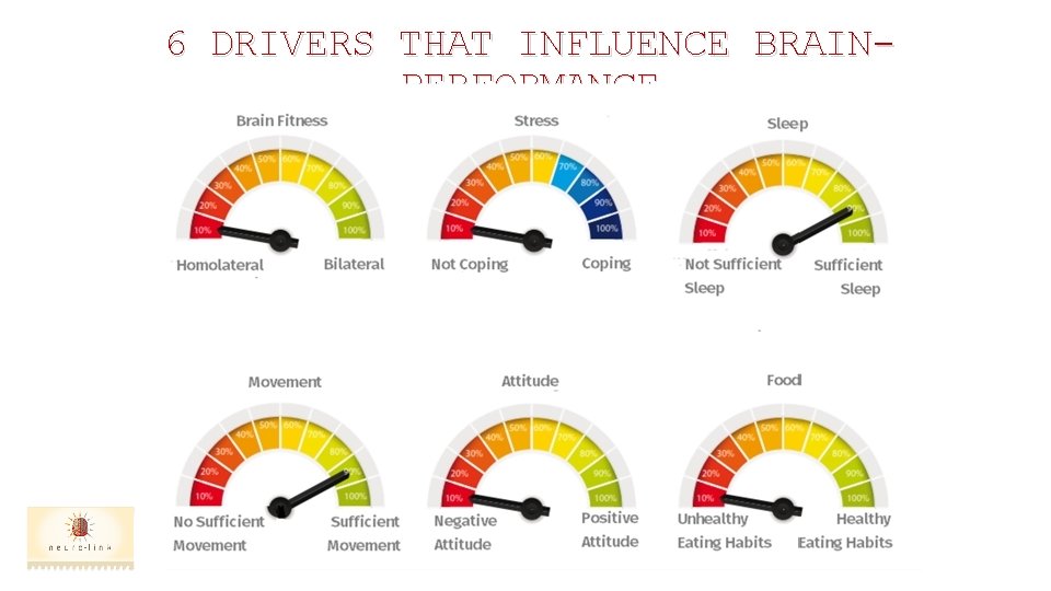 6 DRIVERS THAT INFLUENCE BRAINPERFORMANCE 