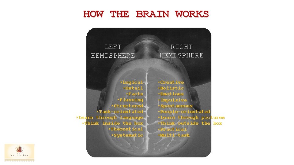 HOW THE BRAIN WORKS LEFT HEMISPHERE • Logical • Detail • Facts • Planning