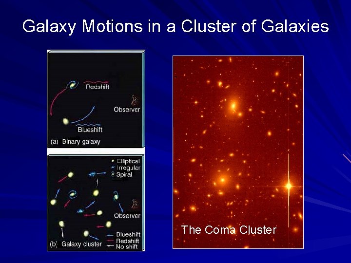 Galaxy Motions in a Cluster of Galaxies The Coma Cluster 