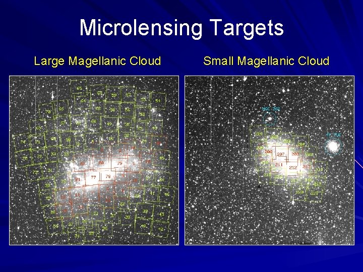 Microlensing Targets Large Magellanic Cloud Small Magellanic Cloud 