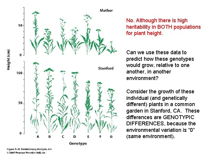 No. Although there is high heritability in BOTH populations for plant height. Can we