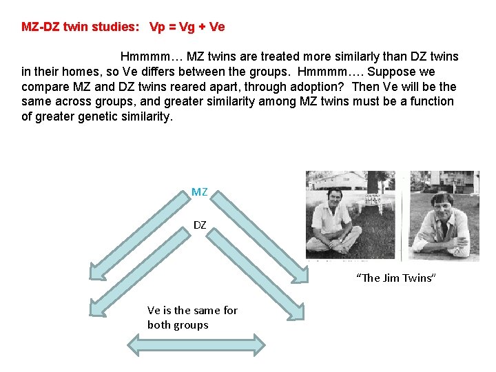 MZ-DZ twin studies: Vp = Vg + Ve Hmmmm… MZ twins are treated more