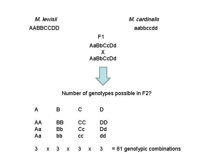 M. lewisii M. cardinalis AABBCCDD aabbccdd F 1 Aa. Bb. Cc. Dd X Aa.