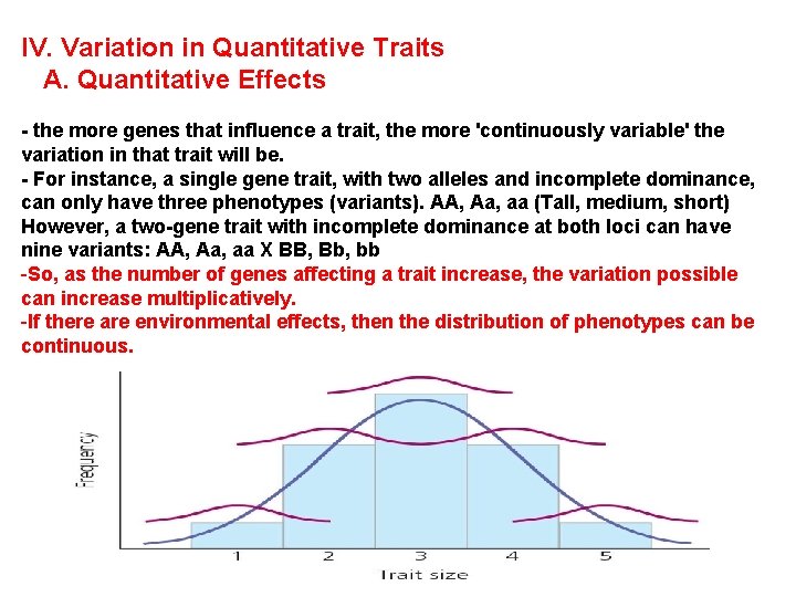 IV. Variation in Quantitative Traits A. Quantitative Effects - the more genes that influence