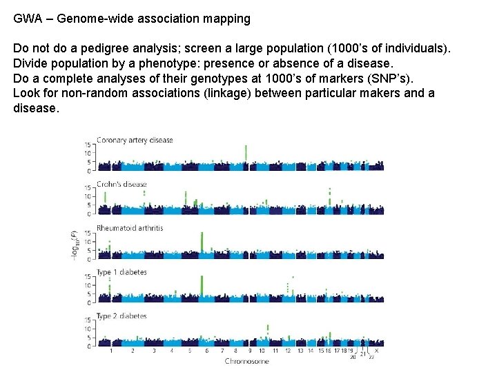 GWA – Genome-wide association mapping Do not do a pedigree analysis; screen a large