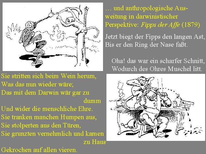 … und anthropologische Ausweitung in darwinistischer Perspektive: Fipps der Affe (1879) Jetzt biegt der