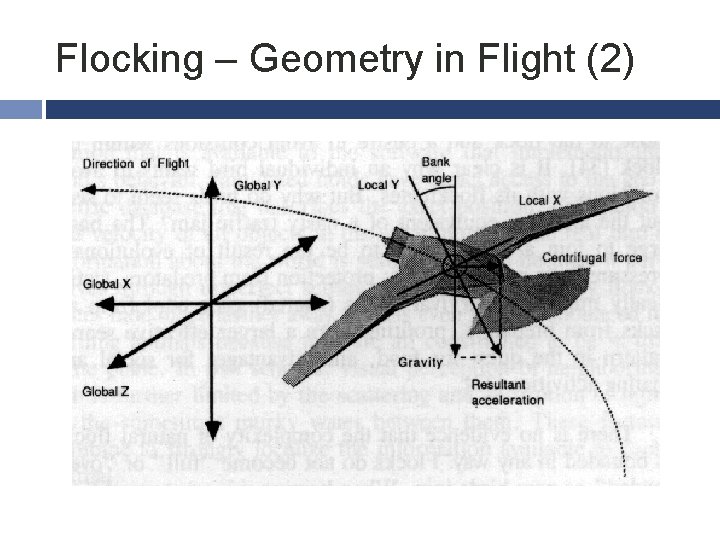 Flocking – Geometry in Flight (2) 