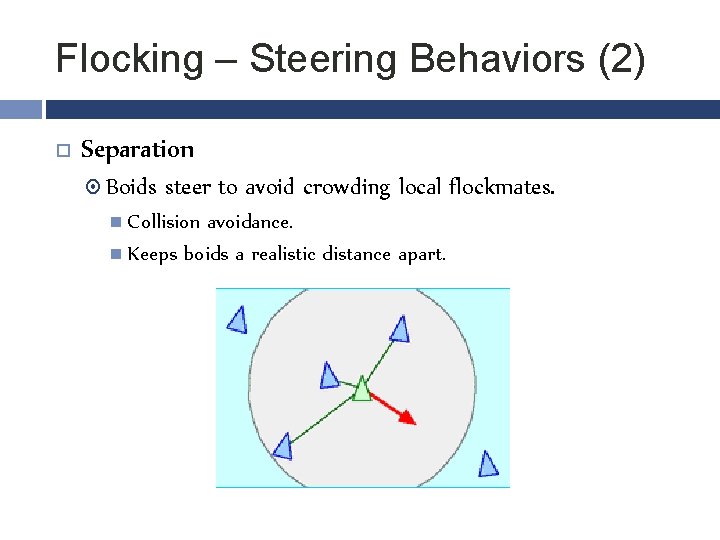 Flocking – Steering Behaviors (2) Separation Boids steer to avoid crowding local flockmates. Collision