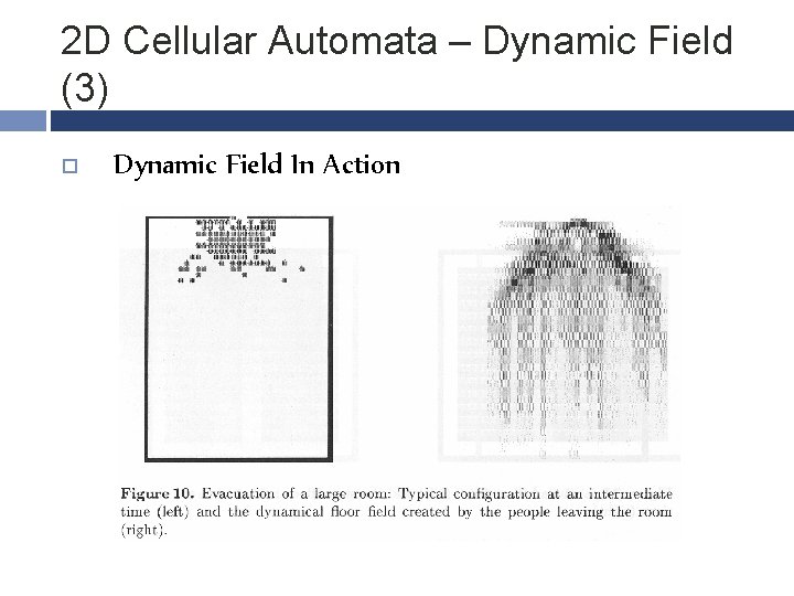 2 D Cellular Automata – Dynamic Field (3) Dynamic Field In Action 