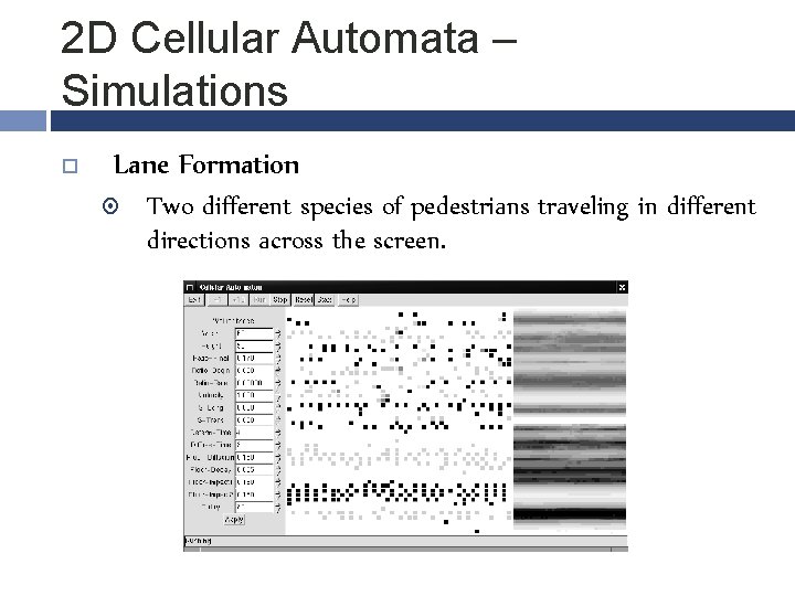 2 D Cellular Automata – Simulations Lane Formation Two different species of pedestrians traveling